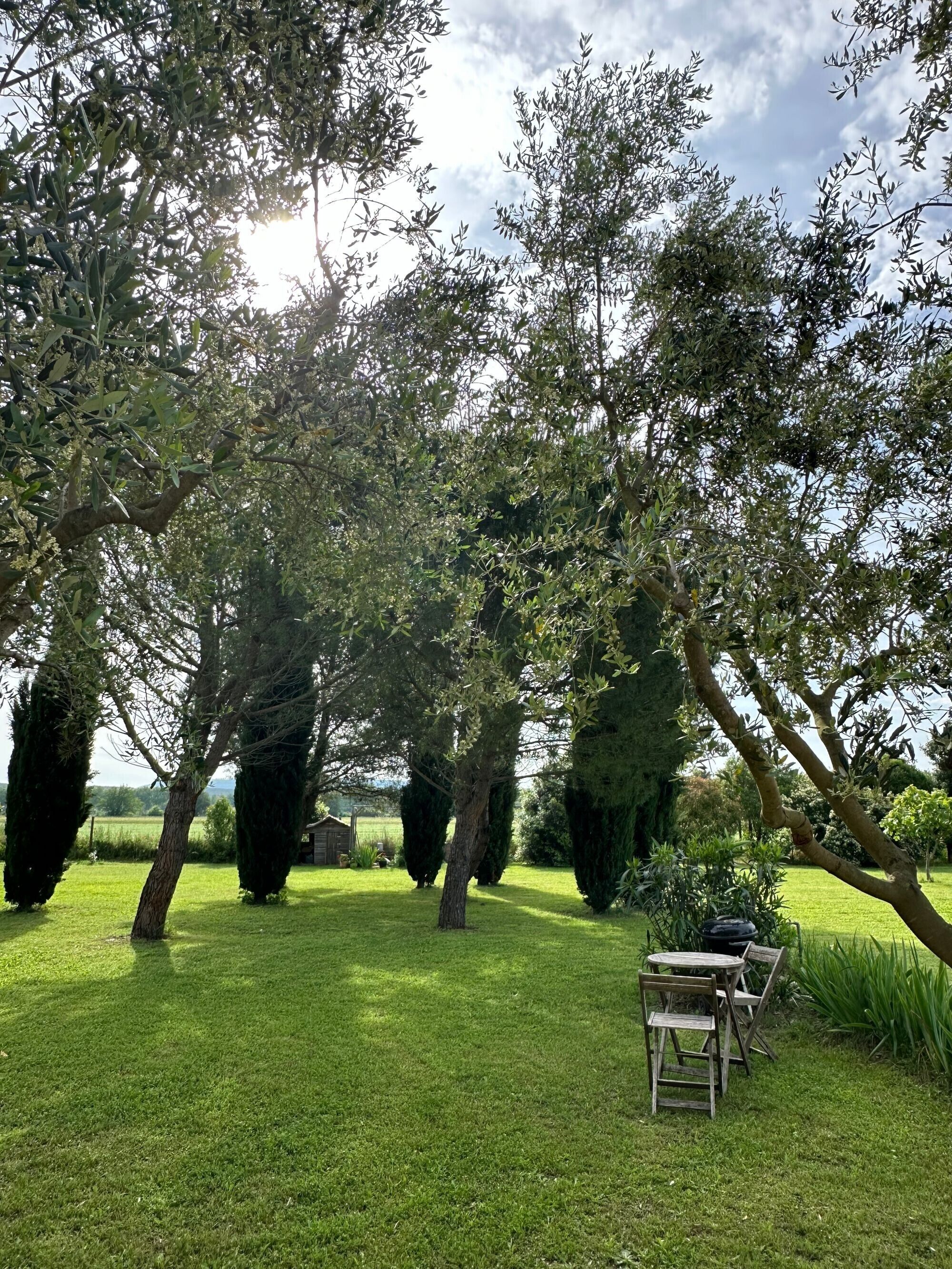 Jardines del alojamiento