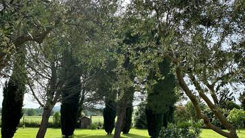 Jardines del alojamiento