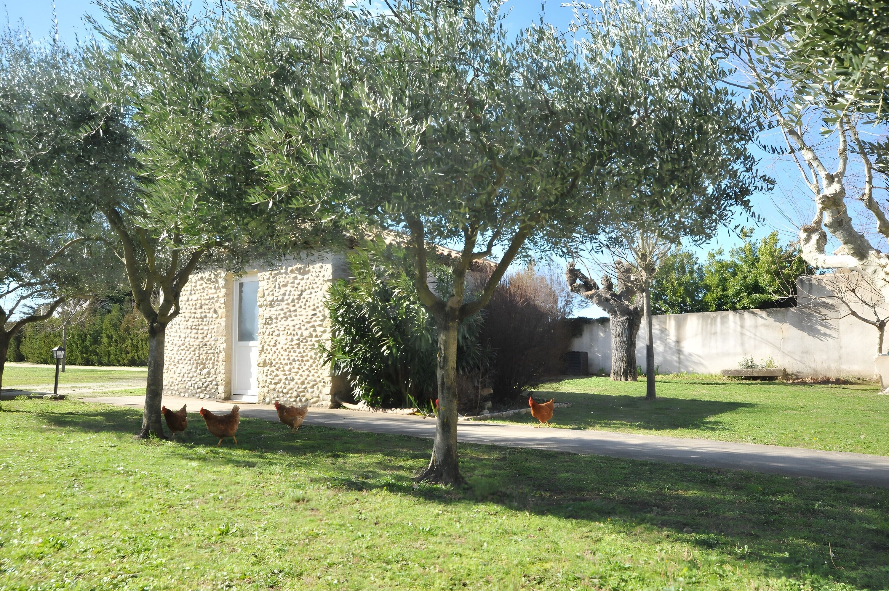 Jardines del alojamiento