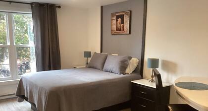 Beau loft rénové et très confortable avec toute commodité