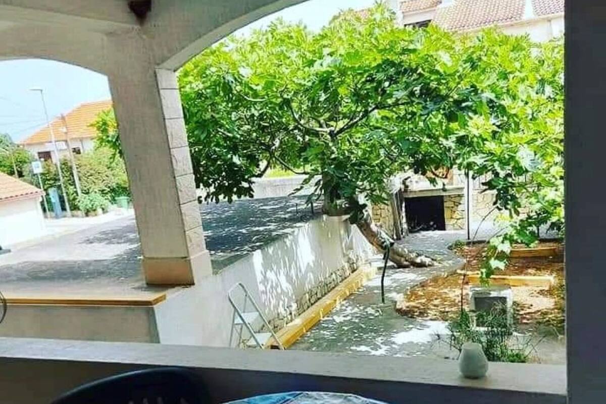 Un balcón con una mesa cubierta con un mantel estampado, una planta en maceta y vistas a una calle con edificios y un árbol.
