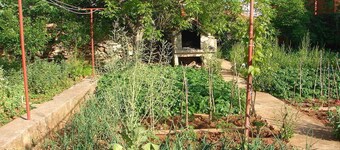 Apartments Dragan
