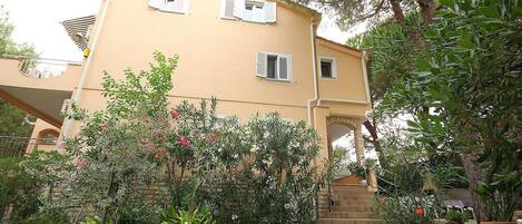 建物のデザイン