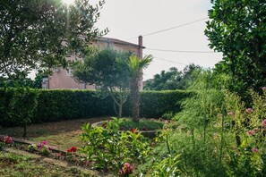 Garden - Apartments and Rooms Ivan (Novalja)