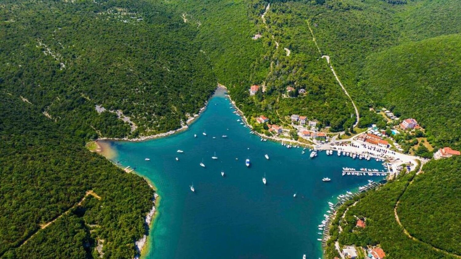 An aerial view of a coastal area with a marina, surrounded by dense forest.