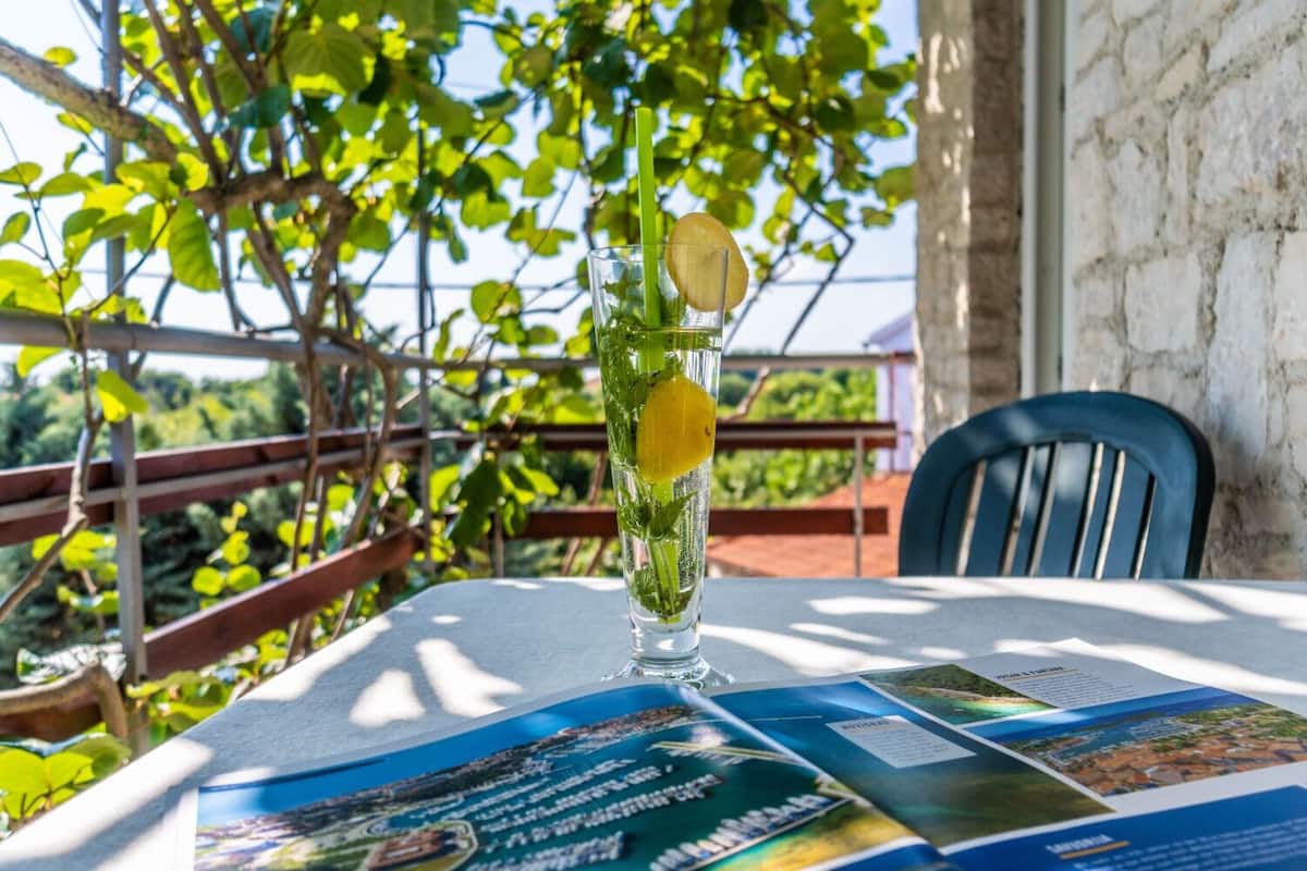 Una mesa con un vaso de bebida, un menú y vistas a zonas verdes y un edificio al fondo.