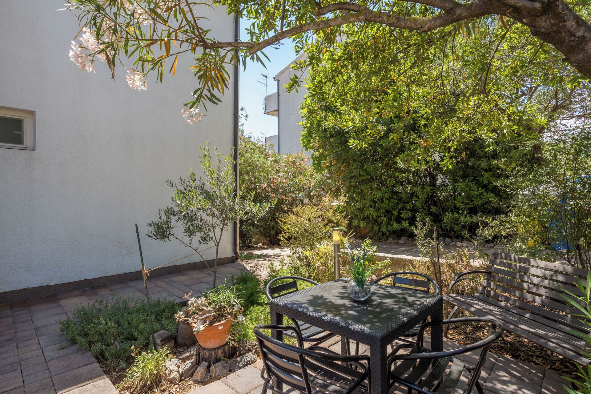 An outdoor patio with a table and chairs, surrounded by various plants and trees.