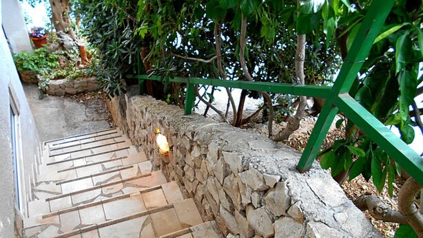 Una escalera de piedra con barandilla verde que lleva a una zona cubierta con plantas.