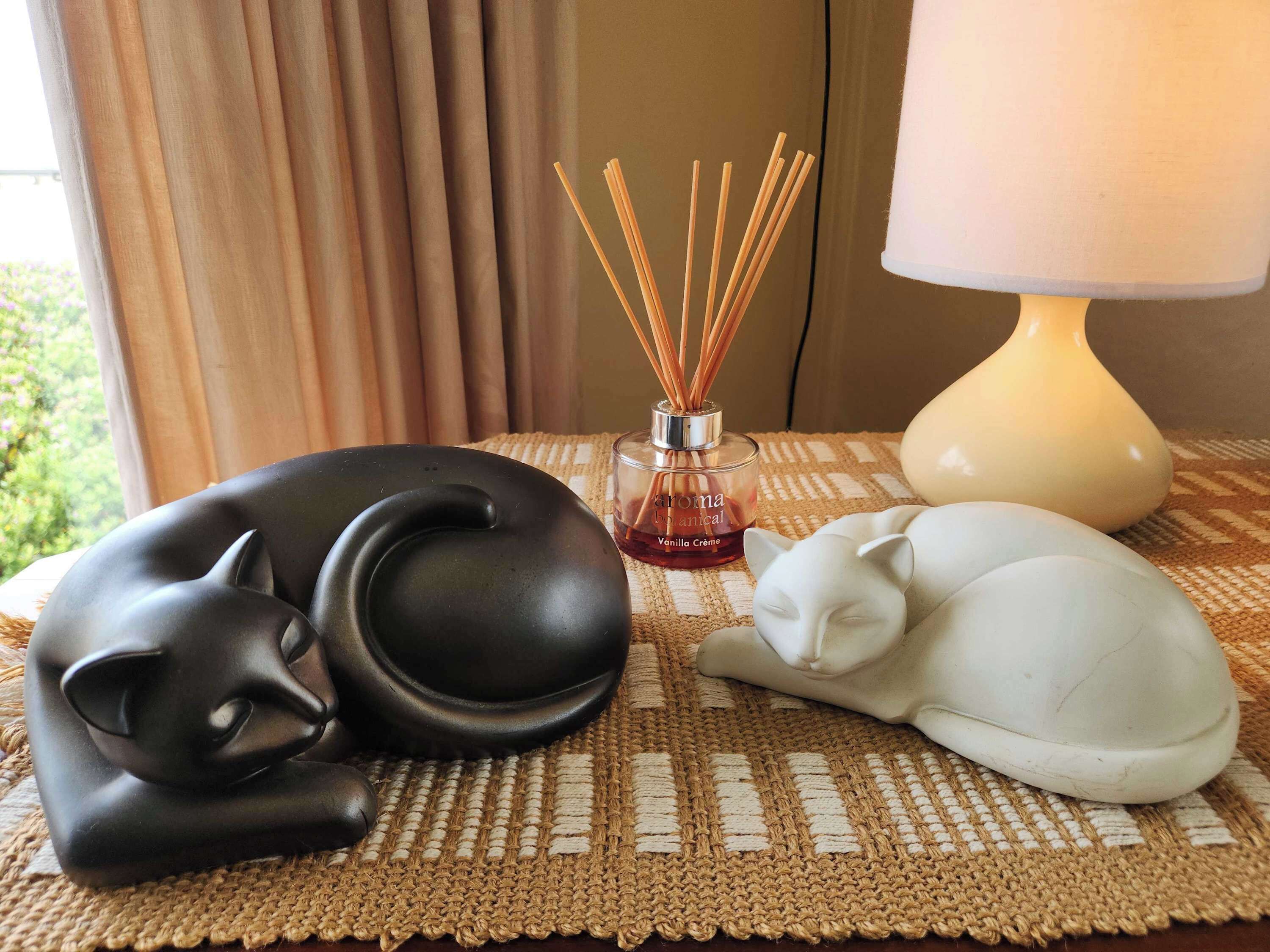 Détail de l’intérieur