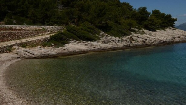 A rocky shoreline with clear water and dense trees. - House Mare (Postira)