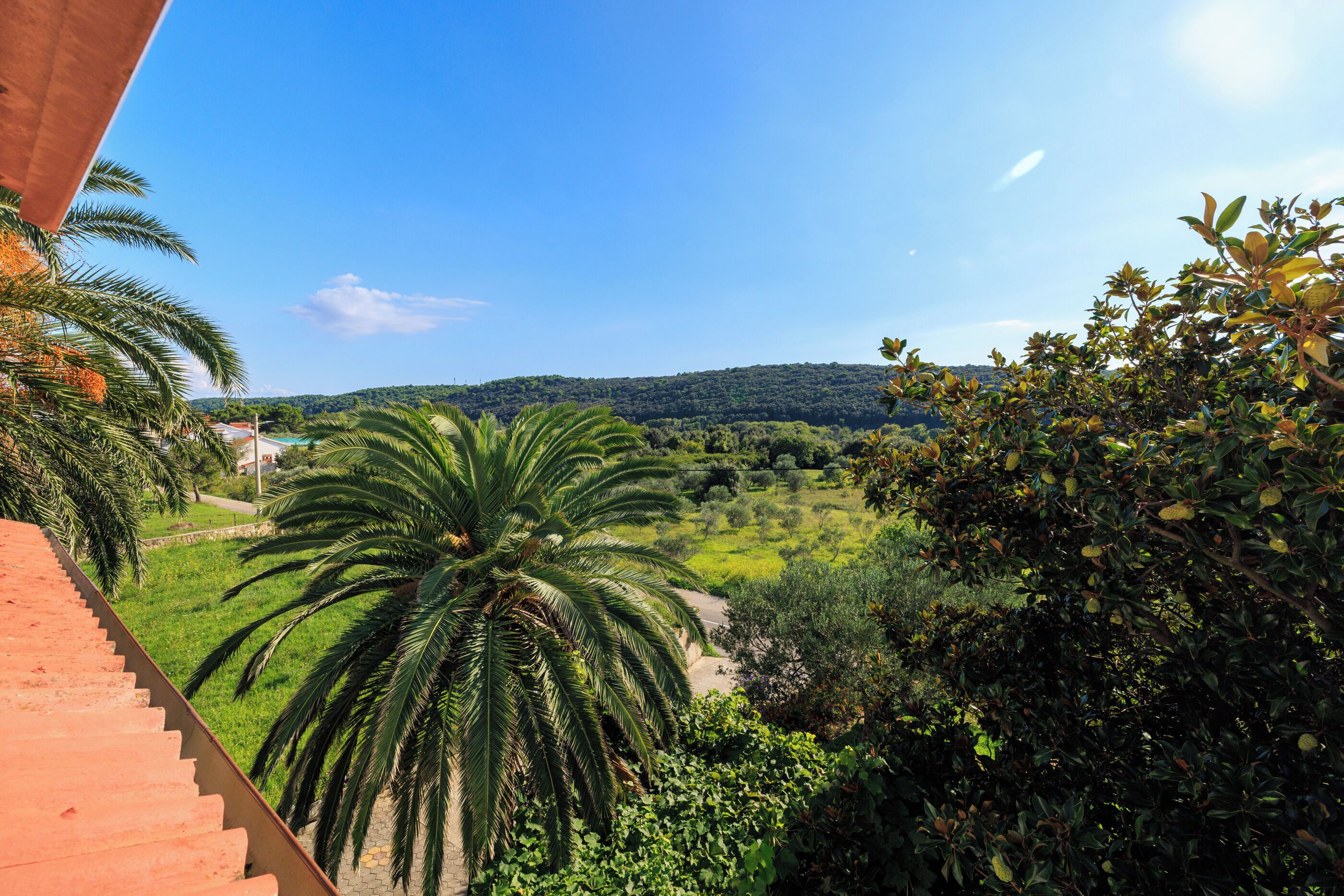 Apartment (A2) | Aerial view