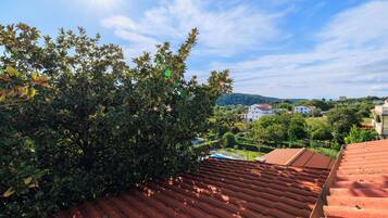 Apartment (A2) | Aerial view