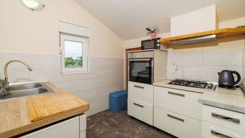 Apartment (A2) | Private kitchen | Fridge, microwave, oven, stovetop