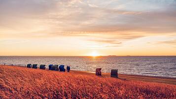 Nära stranden