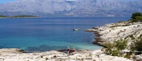A rocky shoreline with clear blue water and distant mountains.