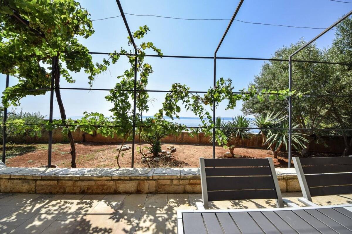 A terrace with a view of the sea, a pergola with climbing plants, and a stone wall.
