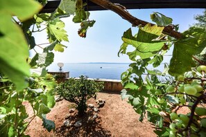 Exterior - Apartments and Rooms Ref (Selca)