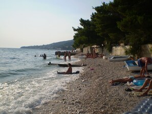 شاطئ