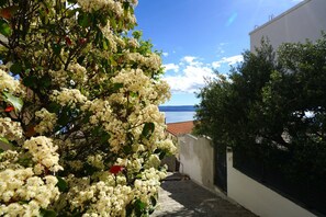 Terrace/patio - Apartment Lile (Omis)