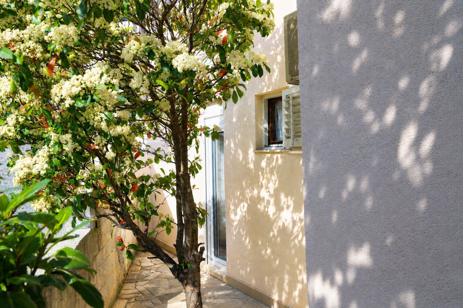 Un étroit couloir extérieur bordé d’un arbre aux fleurs blanches, d’un chemin de pierre et d’un bâtiment à la façade blanche, doté d’une fenêtre avec des volets.