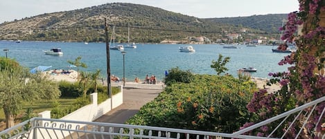 テラス / パティオ