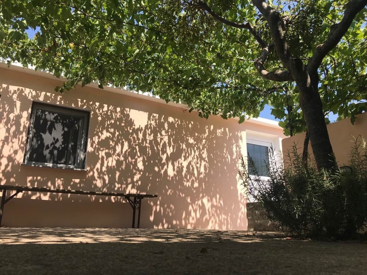 Un bâtiment avec un banc sous un arbre, une fenêtre et un petit espace aménagé en jardin.