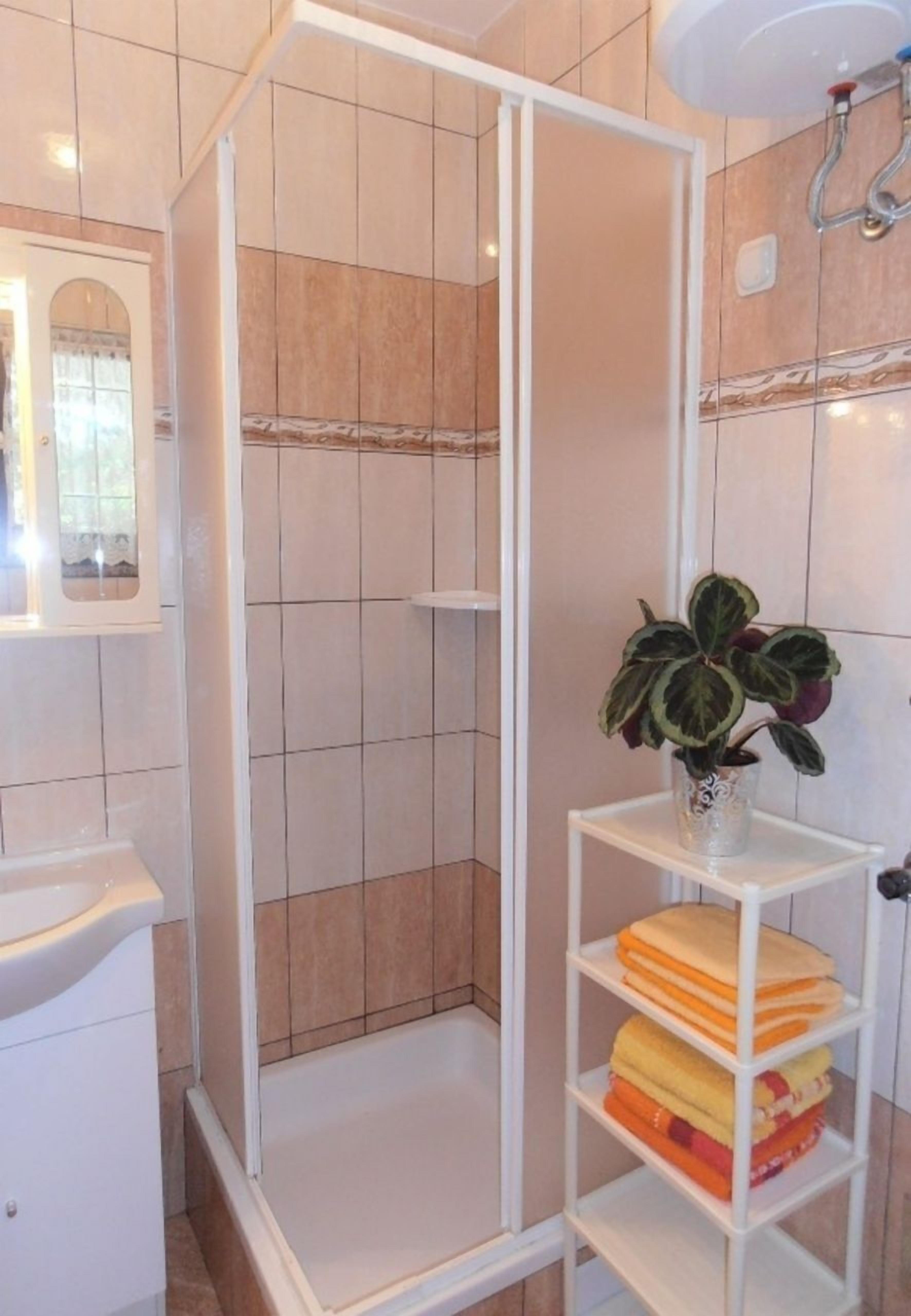 A bathroom with a shower enclosure, a sink, a mirror, and a shelf with towels and a potted plant.