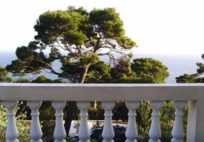 A balcony with a view of a large pine tree and the sea. - Apartments Var (Hvar)