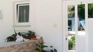 Zona de recepción con un gato sobre el mostrador, plantas en macetas, una ventana y una puerta que da al exterior.