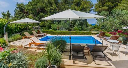 House Sanda