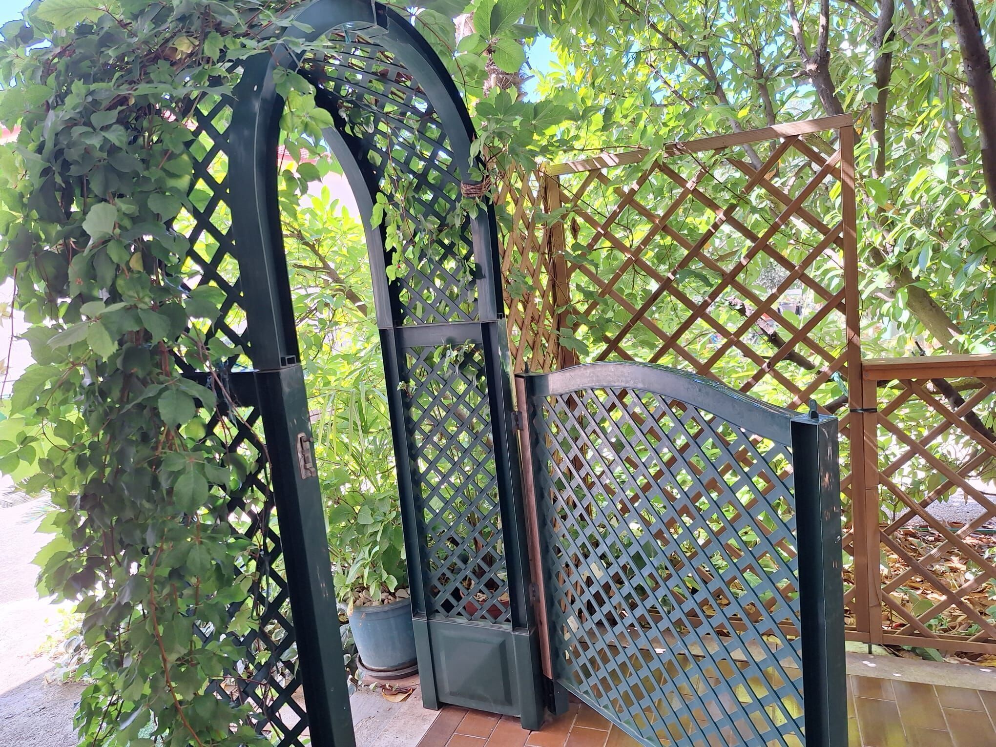A wooden gate with a lattice design, surrounded by lush greenery and a potted plant.