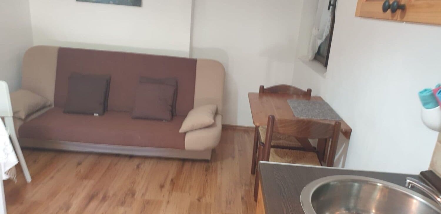 A compact living space with a sofa, a wooden table, and a kitchen area with a sink.