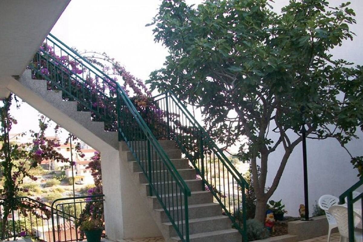 A staircase with green railings, a tree, and potted plants.