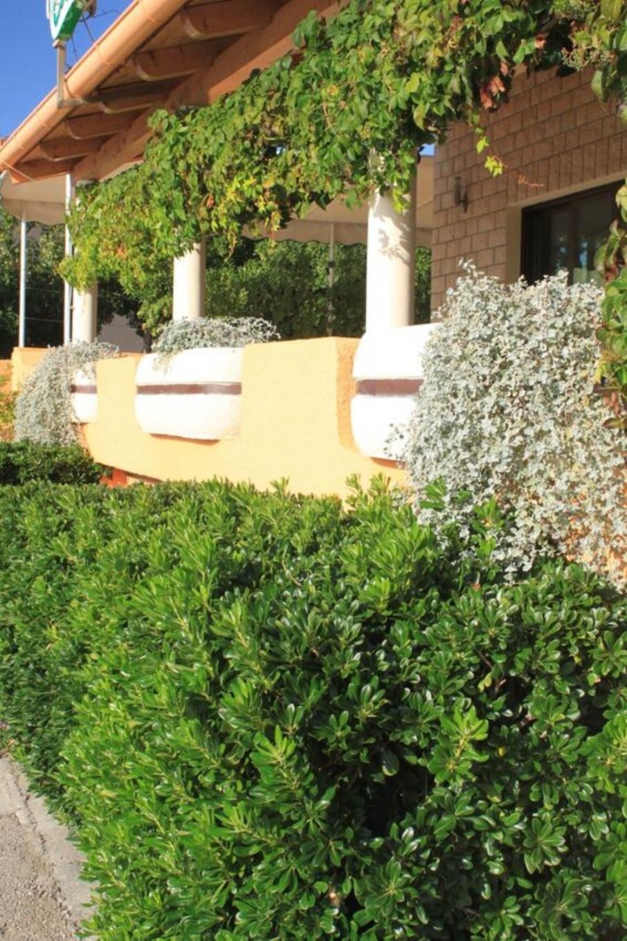 A building with a yellow facade, white columns, and green foliage.