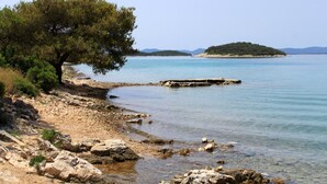 Una costa rocciosa con acque cristalline e un albero.