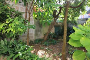 Garden - House Korta (Konavle)