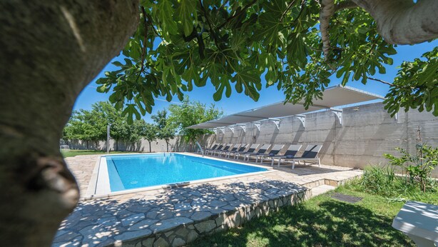 A swimming pool with stone edging, surrounded by a grassy area and a covered patio with lounge chairs. - Apartments Armitage (Privlaka)