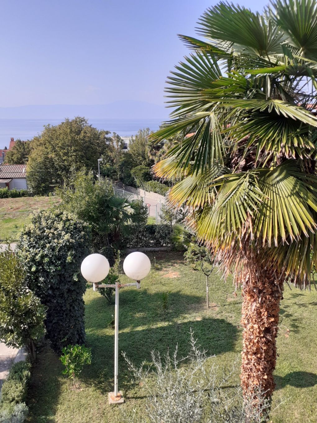 Apartment (A1) | Courtyard