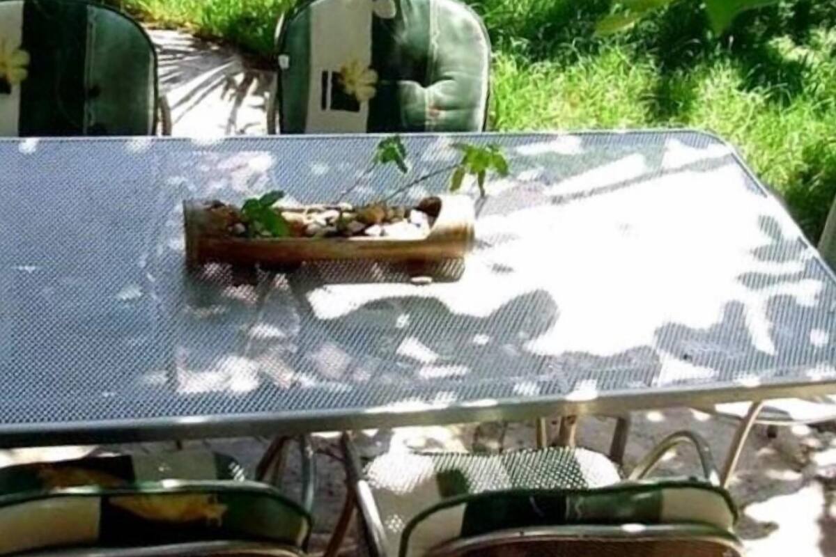 Apartment (A1) | Garden