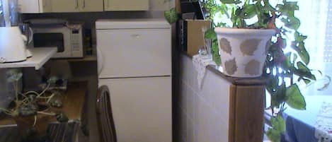 Apartment (A1) | Private kitchen