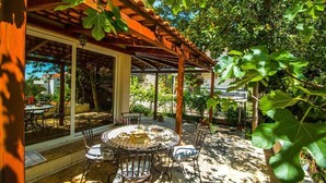 An outdoor patio with a round table and chairs, surrounded by potted plants and a pergola. - Apartment Mana (Split)