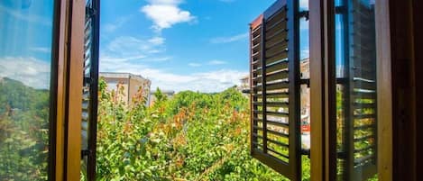 Apartamento (A1) | Vista aérea