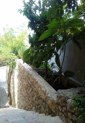 Courtyard - Apartments Bor (Makarska)