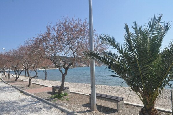 Beach - Apartments Antonija (Marina)