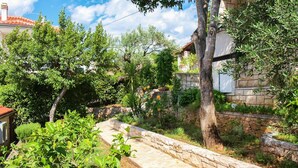 A stone pathway leading through a lush garden with various trees and shrubs. - Apartment Elena (Postira)