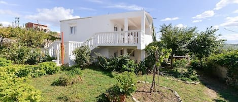 建物のデザイン