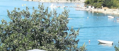 アパートメント (A2) | テラス / パティオ