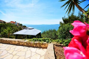 Property grounds - House Sreca (Okrug)
