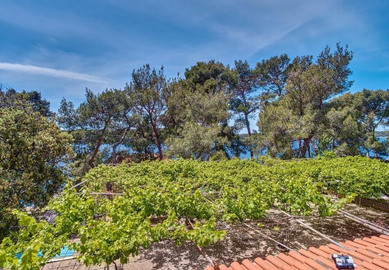 아파트 (A2) | 숙박 시설의 전망