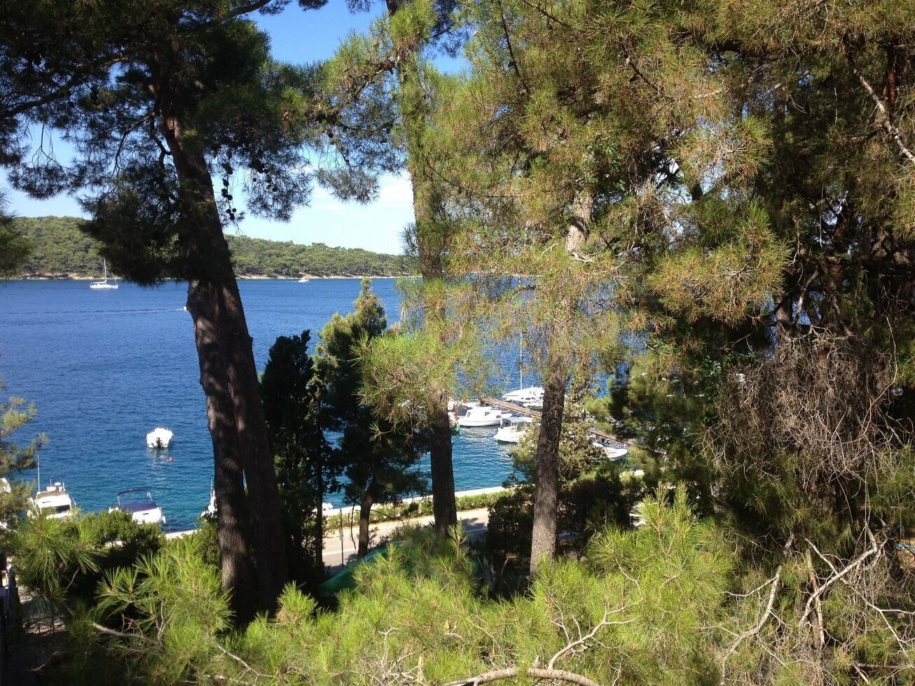 A coastal view with boats docked near a beach, surrounded by pine trees.